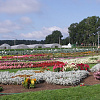 otzfiiuw cdysfgxp 2013 e3h.JPG